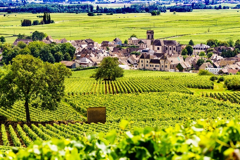 Burgundy in France