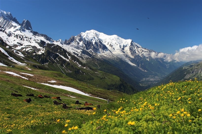 Tentang Gunung Mont Blanc dan Massif untuk Pemula