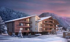 Traditional Ski Apartments For Sale In Petit Chatel