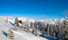 Ski Apartments and Chalets for sale in La Tania
