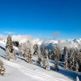 Ski Apartments and Chalets for sale in La Tania