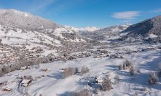 Ski Apartments and Chalets for sale in Praz sur Arly