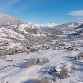 Ski Apartments and Chalets for sale in Praz sur Arly