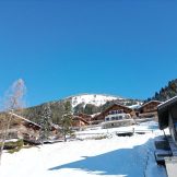 Exceptional Chalet for Sale in Châtel