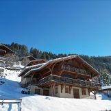 Luxurious Stand-Alone Chalet For Sale In Châtel