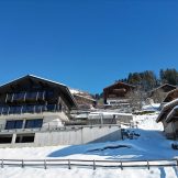 Luxurious Stand-Alone Chalet For Sale In Châtel
