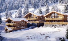 Modern Chalets For Sale In Chatel