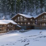 Prestigious Alpine Residences in Chatel
