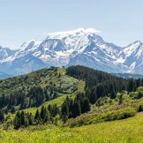 New Build Chalets For Sale In Combloux