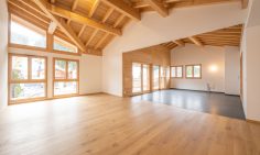 Ski-in Ski-out Flats For Sale In Les Gets