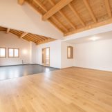 Ski-in Ski-out Flats For Sale In Les Gets