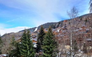 meribel chalet frski700 6