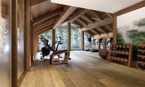 residences in meribel frski664 21
